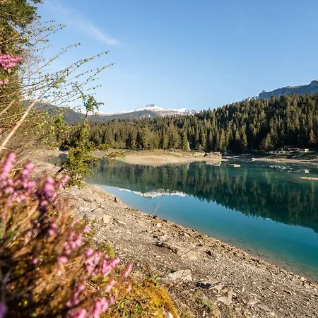 Luxuswohnung Mit Direktem Zugang Zur Skipiste By Interhome Apartment Flims